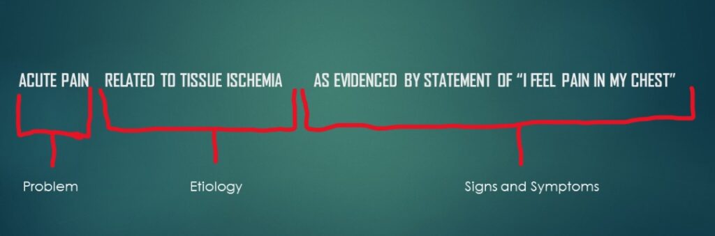 component of nursing diagnosis