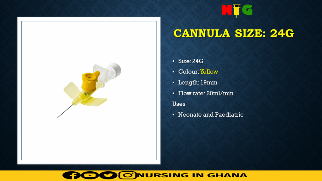 iv cannula size 24G