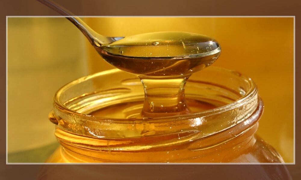 honey wound dressing