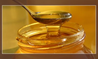 honey wound dressing