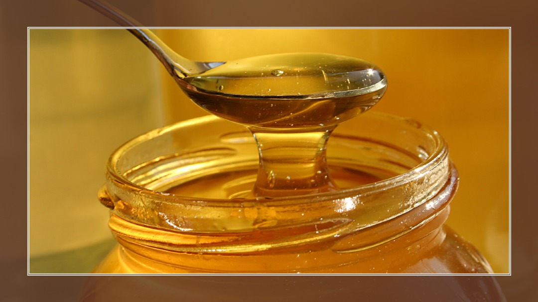 honey wound dressing